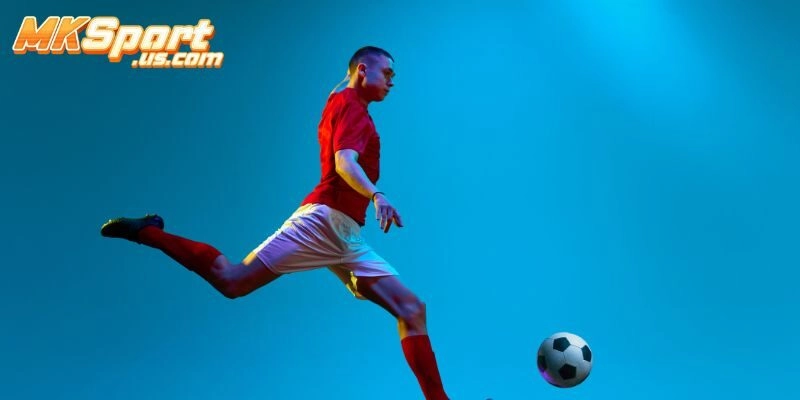Giới Thiệu Về Dịch Vụ Thể Thao Tại Mksport 